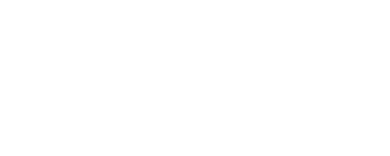 ABOUT US SINCE 1991
